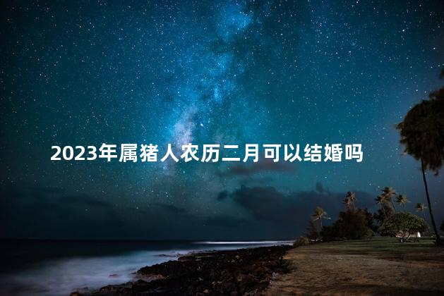 2023年属猪人农历二月可以结婚吗 2023年属猪人多少岁